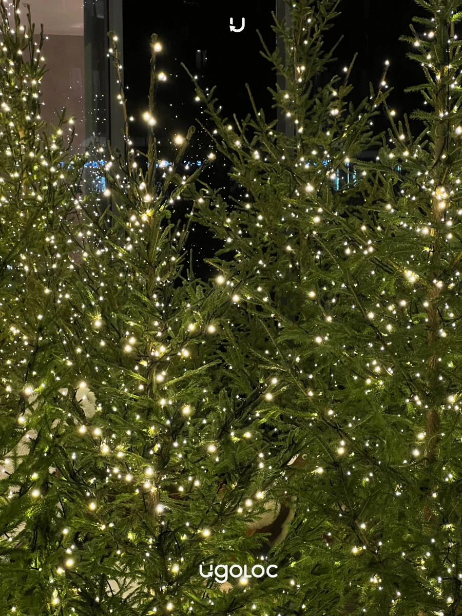 Новогодняя зона на Ефремова