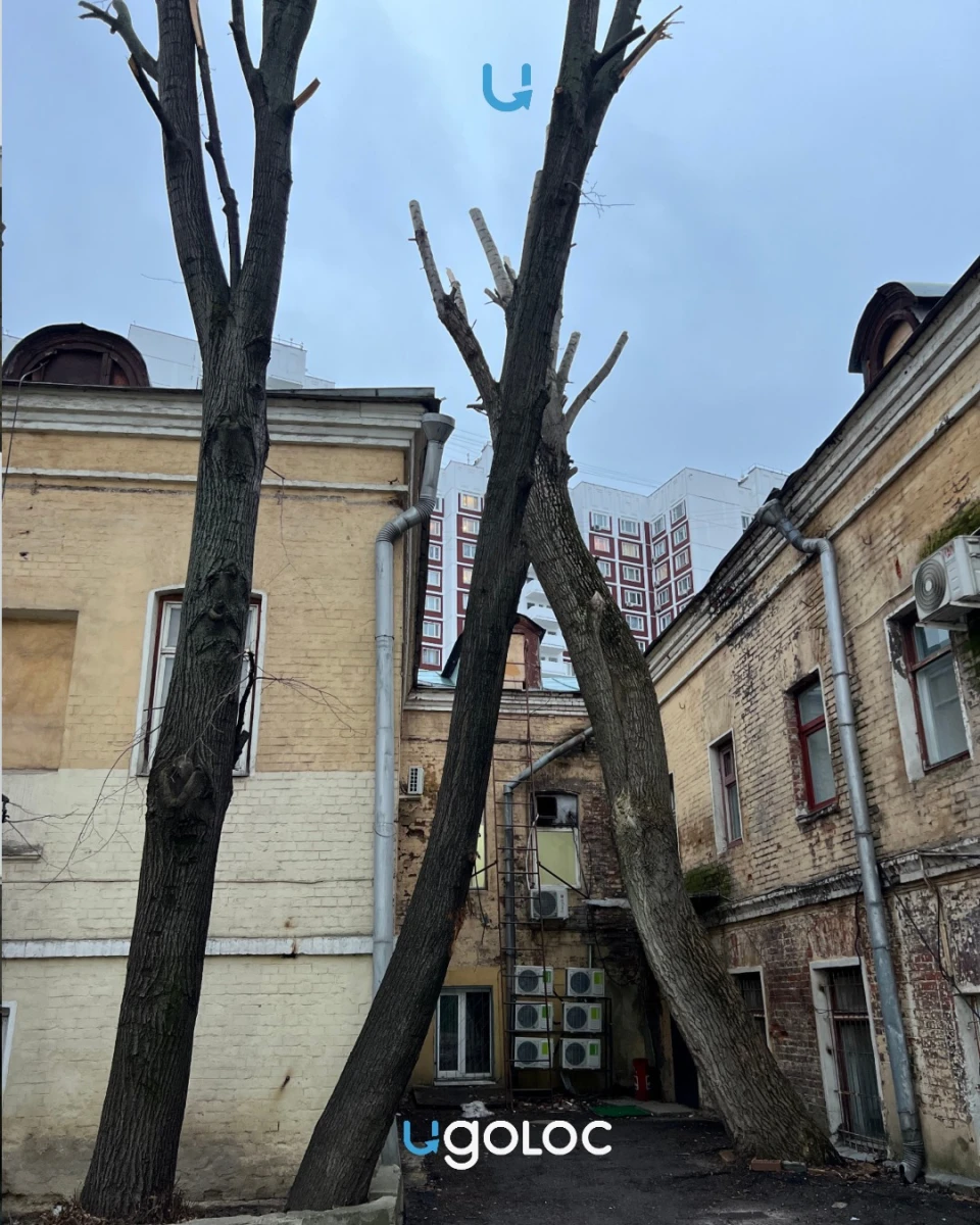 Дворик на улице Радонежского