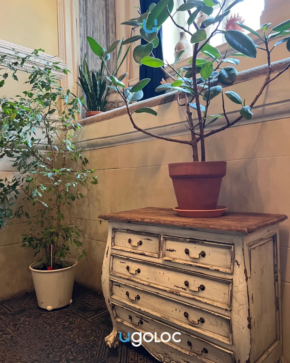 Красивая дверь в особняк Лорис-Меликова