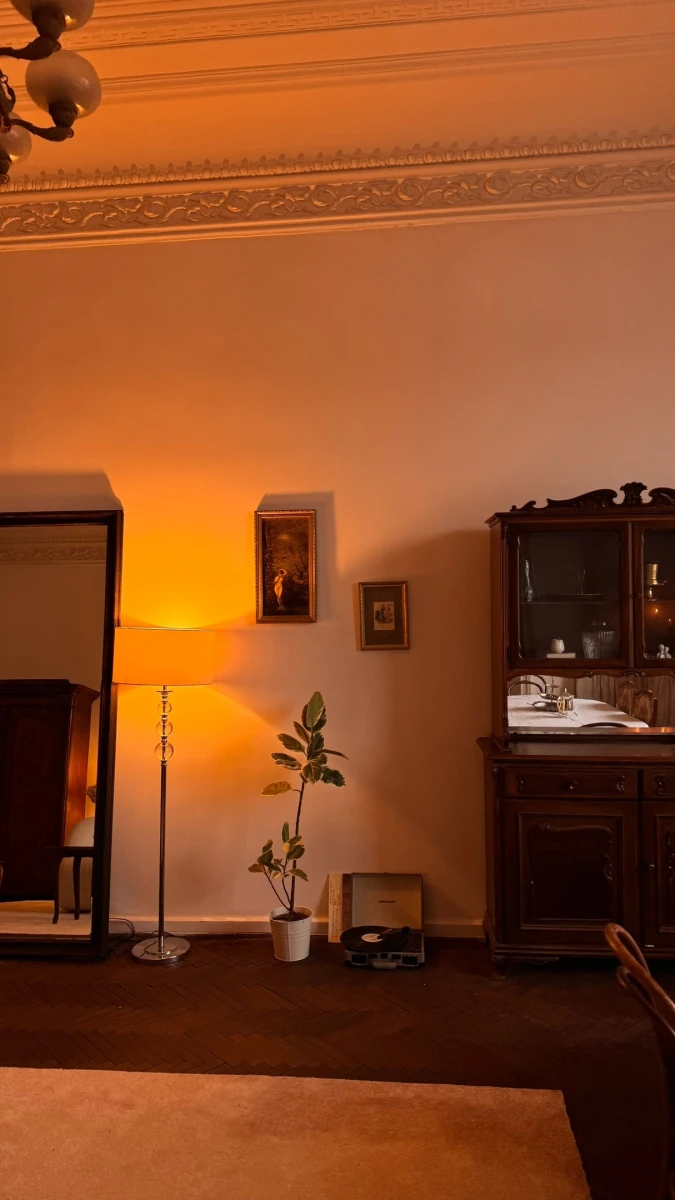 Гостиная в особняке на Выборгской