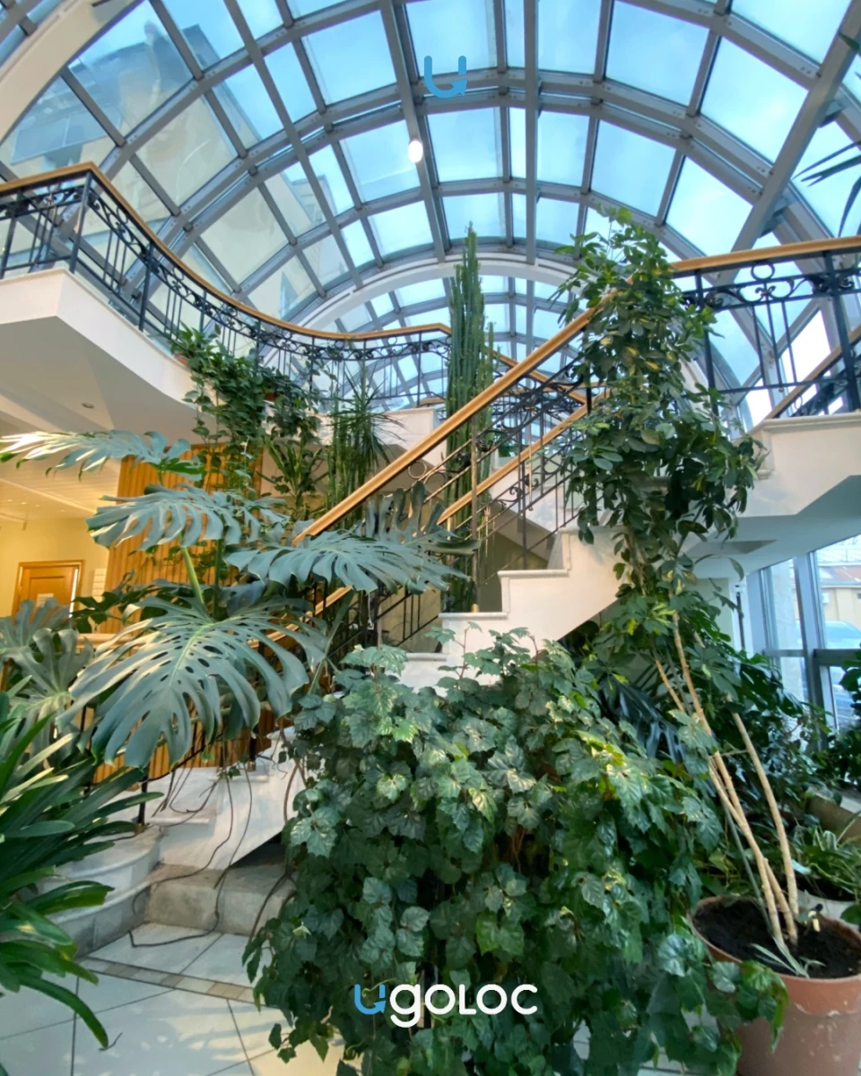 Кафе “Оранжерея”