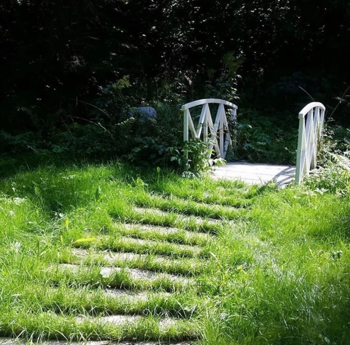 Белый мостик