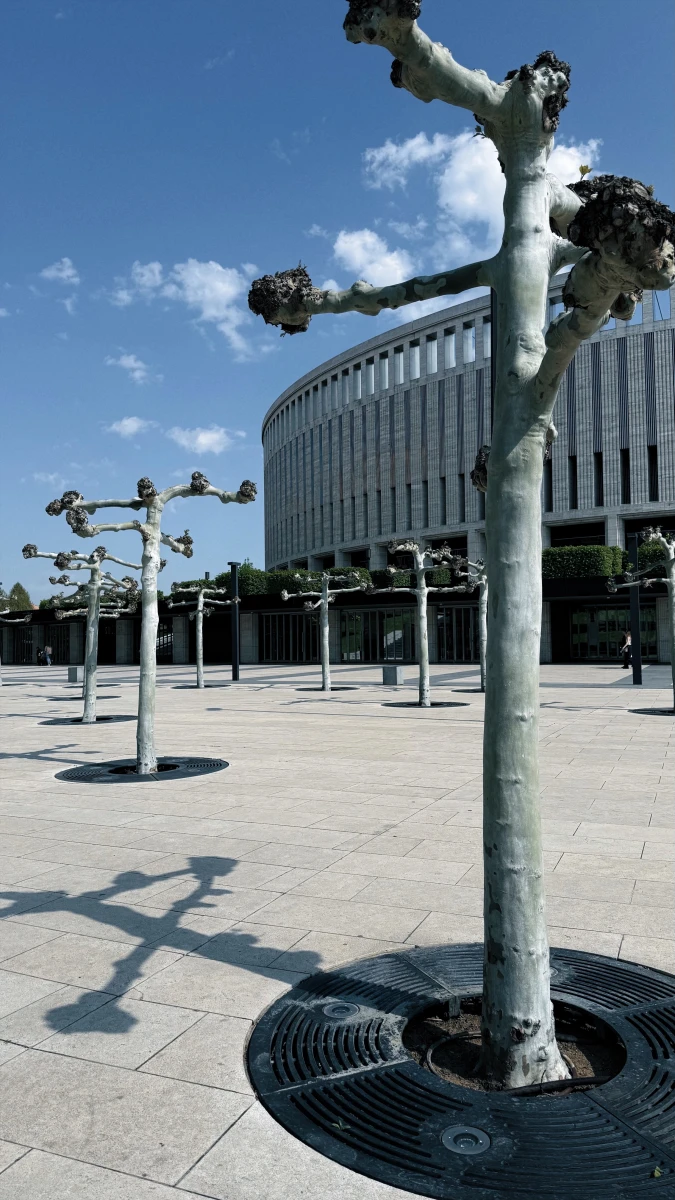 Парк Галицкого