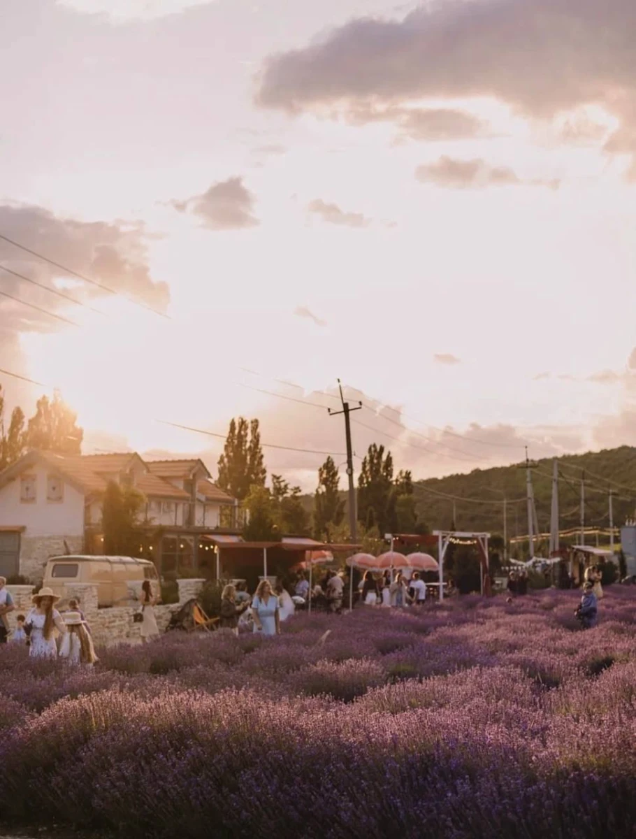 Дом ароматных трав, Новороссийск