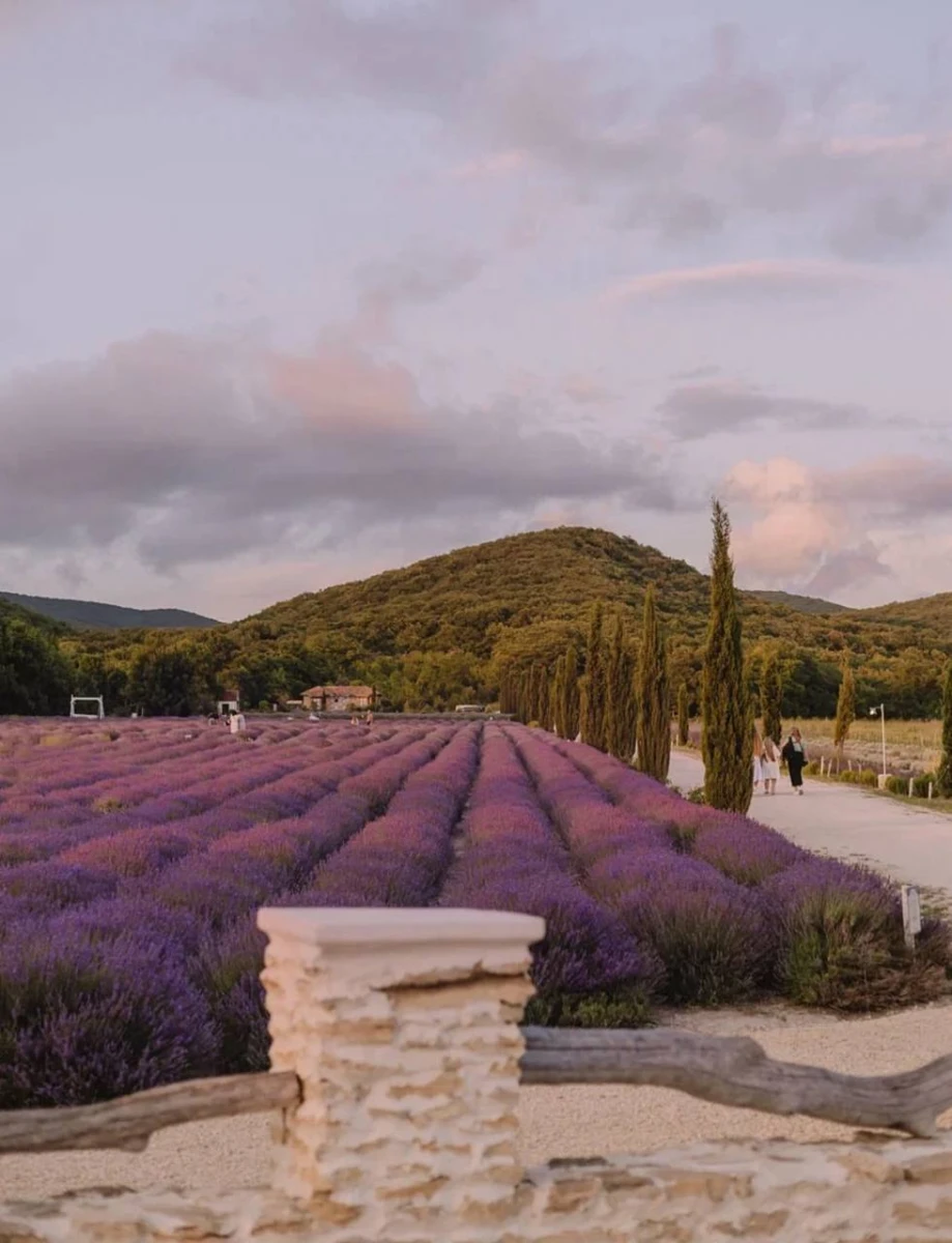 Дом ароматных трав, Новороссийск