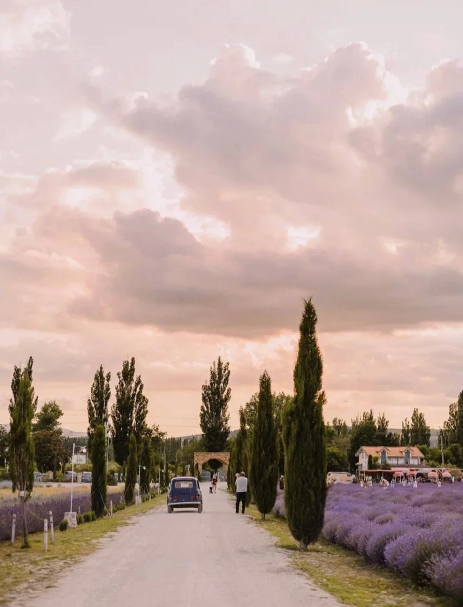 Дом ароматных трав, Новороссийск