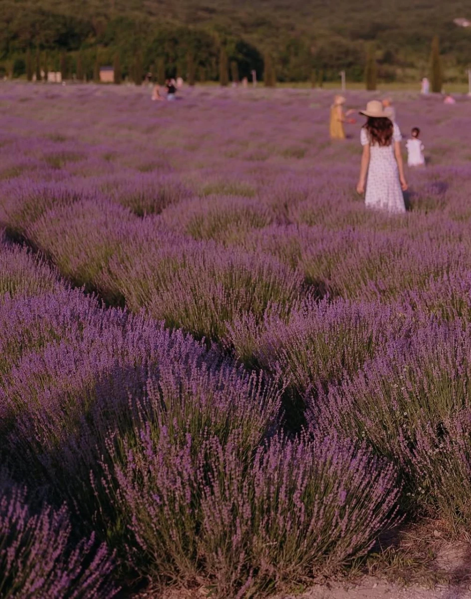 Дом ароматных трав, Новороссийск