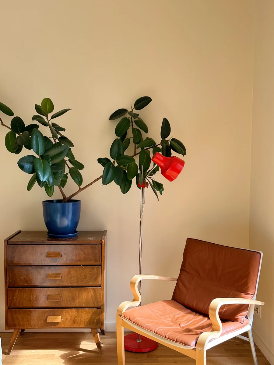 Скандинавский дом