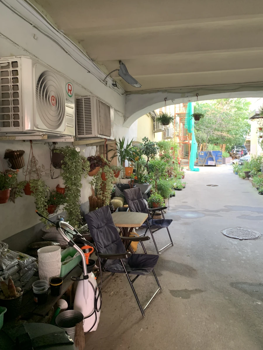 Скрытый зеленый двор