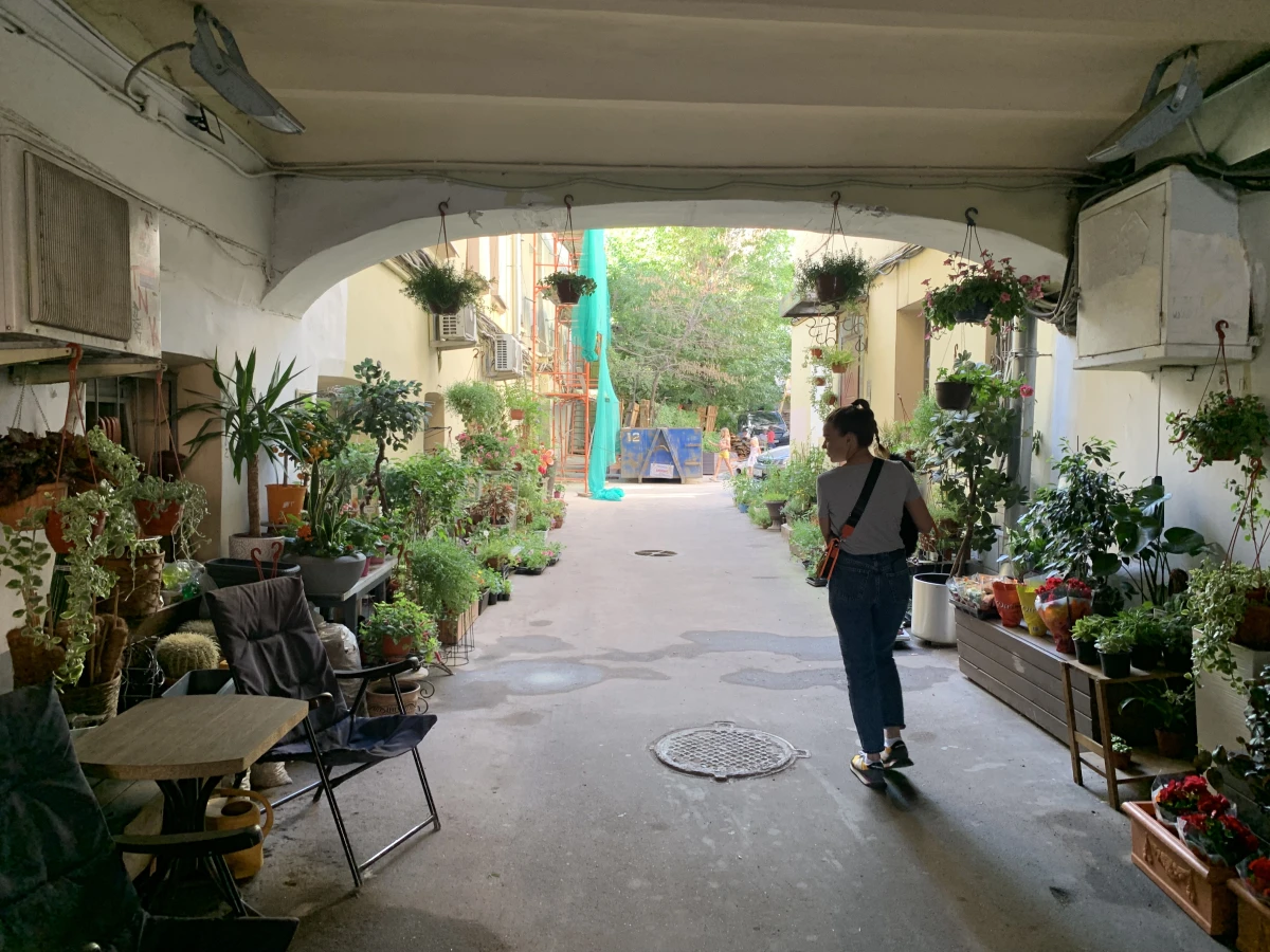 Скрытый зеленый двор