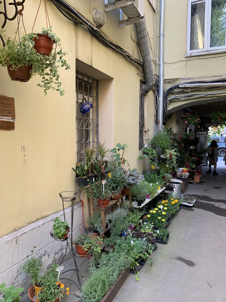 Скрытый зеленый двор