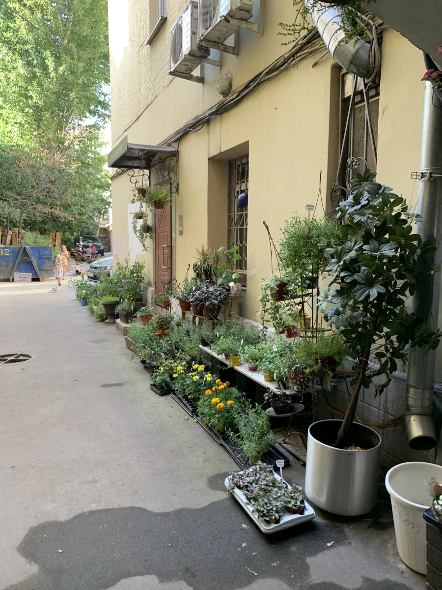 Скрытый зеленый двор