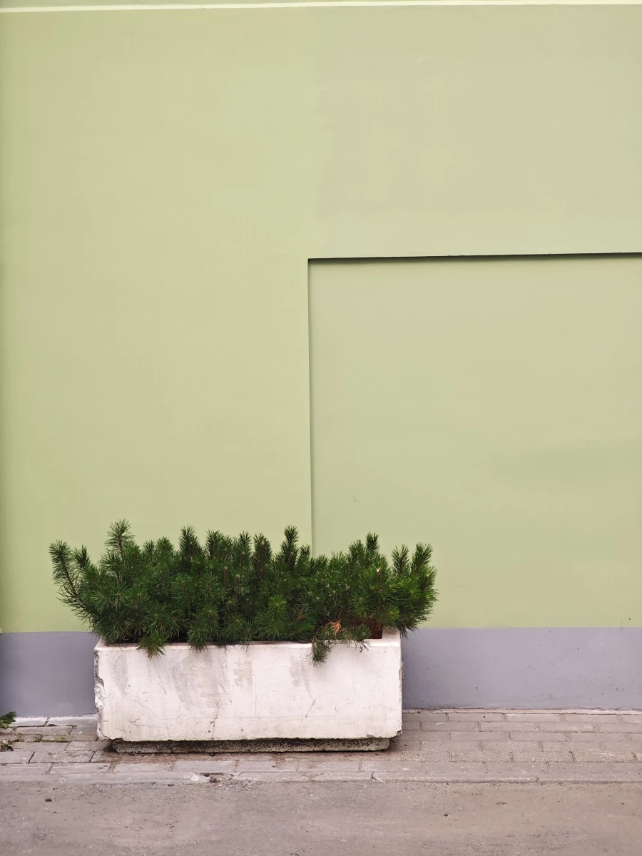 Светло-зелёная стена на Столешке