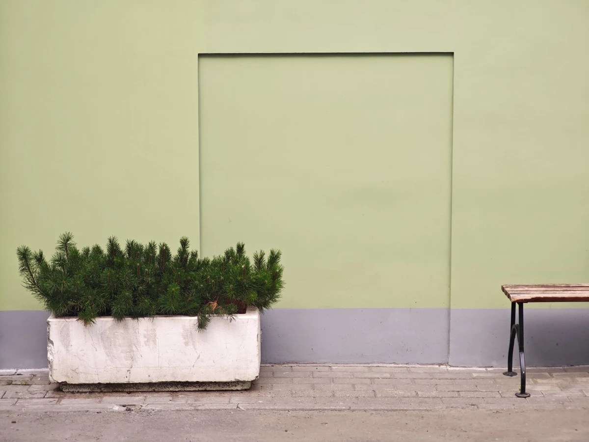 Светло-зелёная стена на Столешке