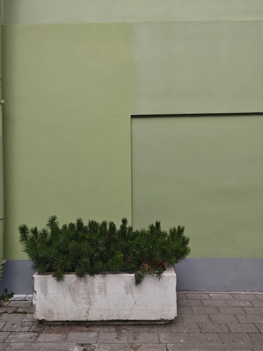 Светло-зелёная стена на Столешке