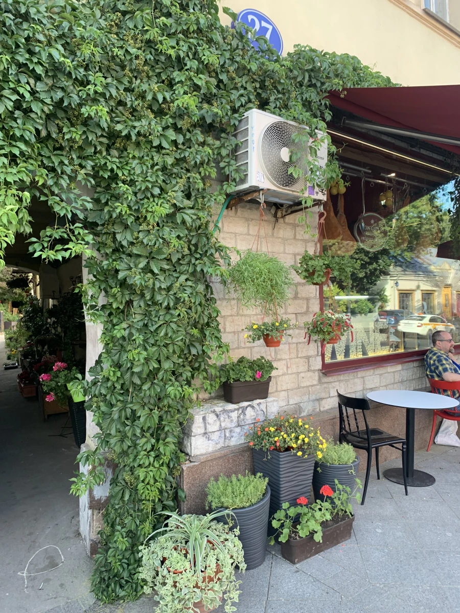 Скрытый зеленый двор