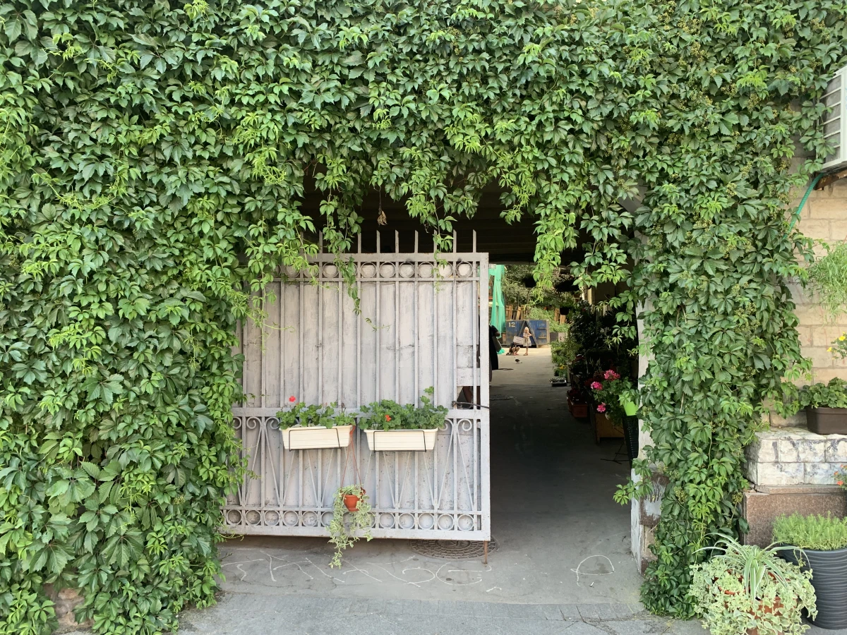 Скрытый зеленый двор