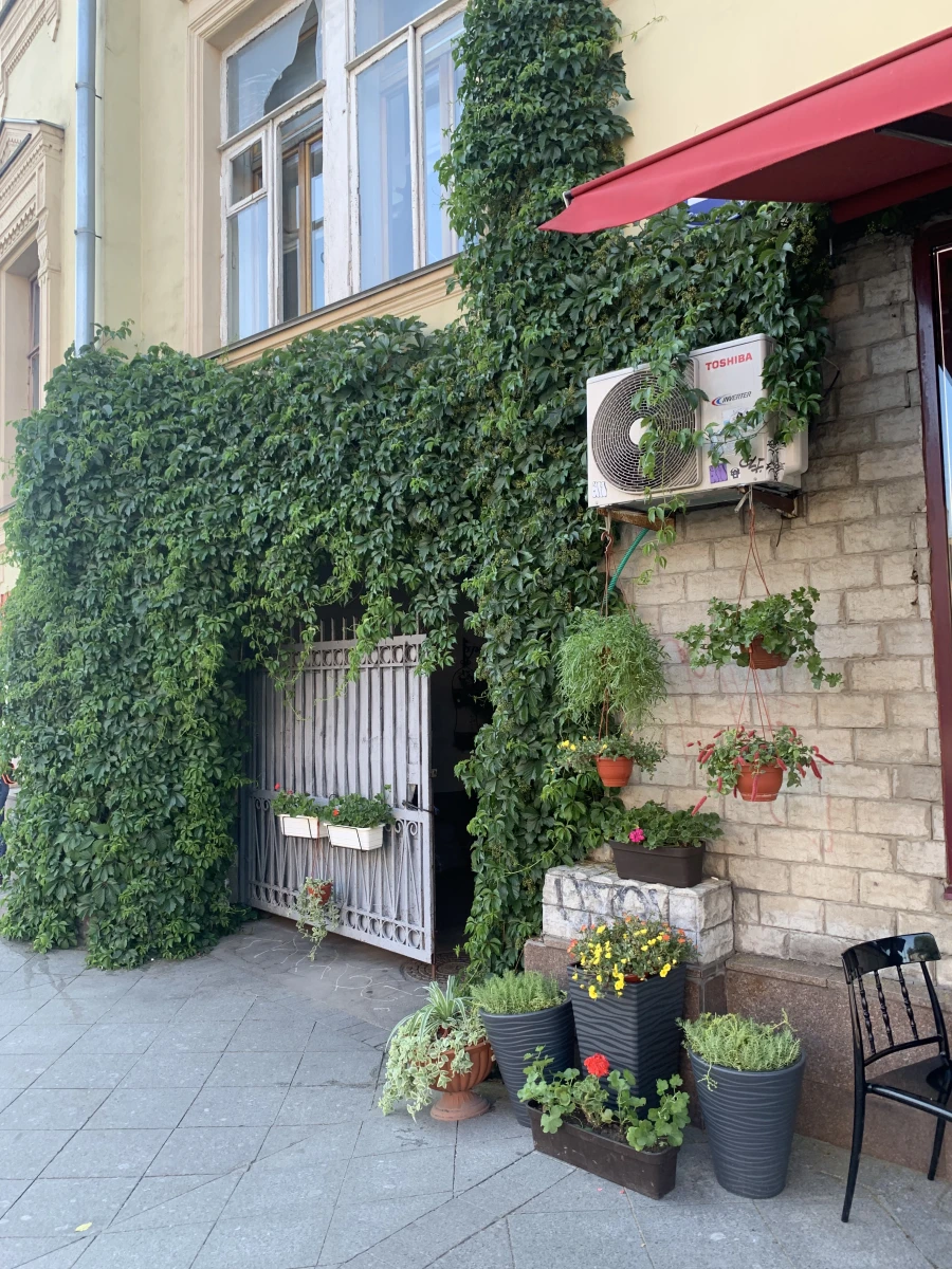 Скрытый зеленый двор