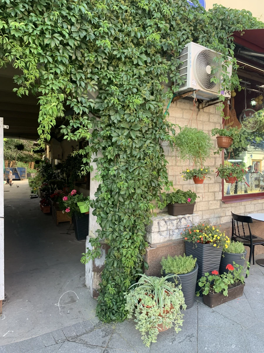 Скрытый зеленый двор