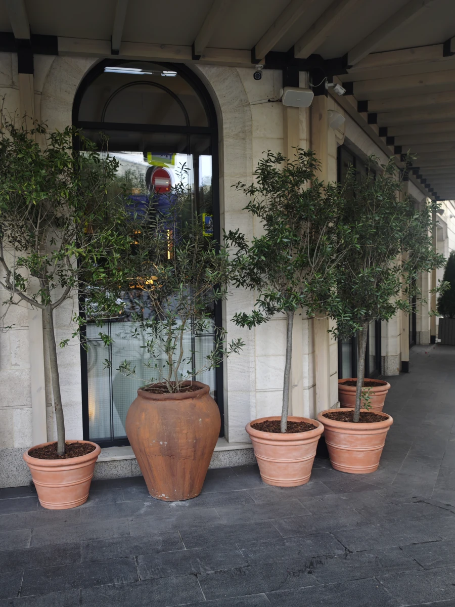 Дом во Французском стиле и красивая дверь