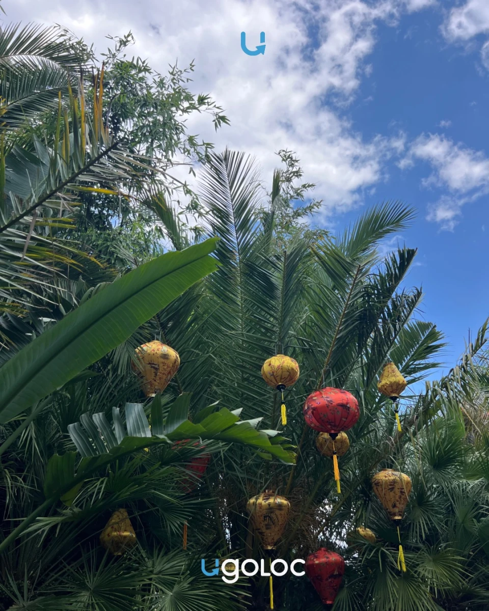 Летнее оформление Манежной Площади