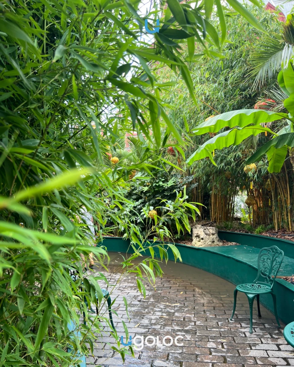 Летнее оформление Манежной Площади