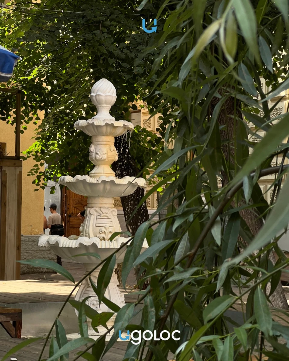 Фонтан на Чаплыгина