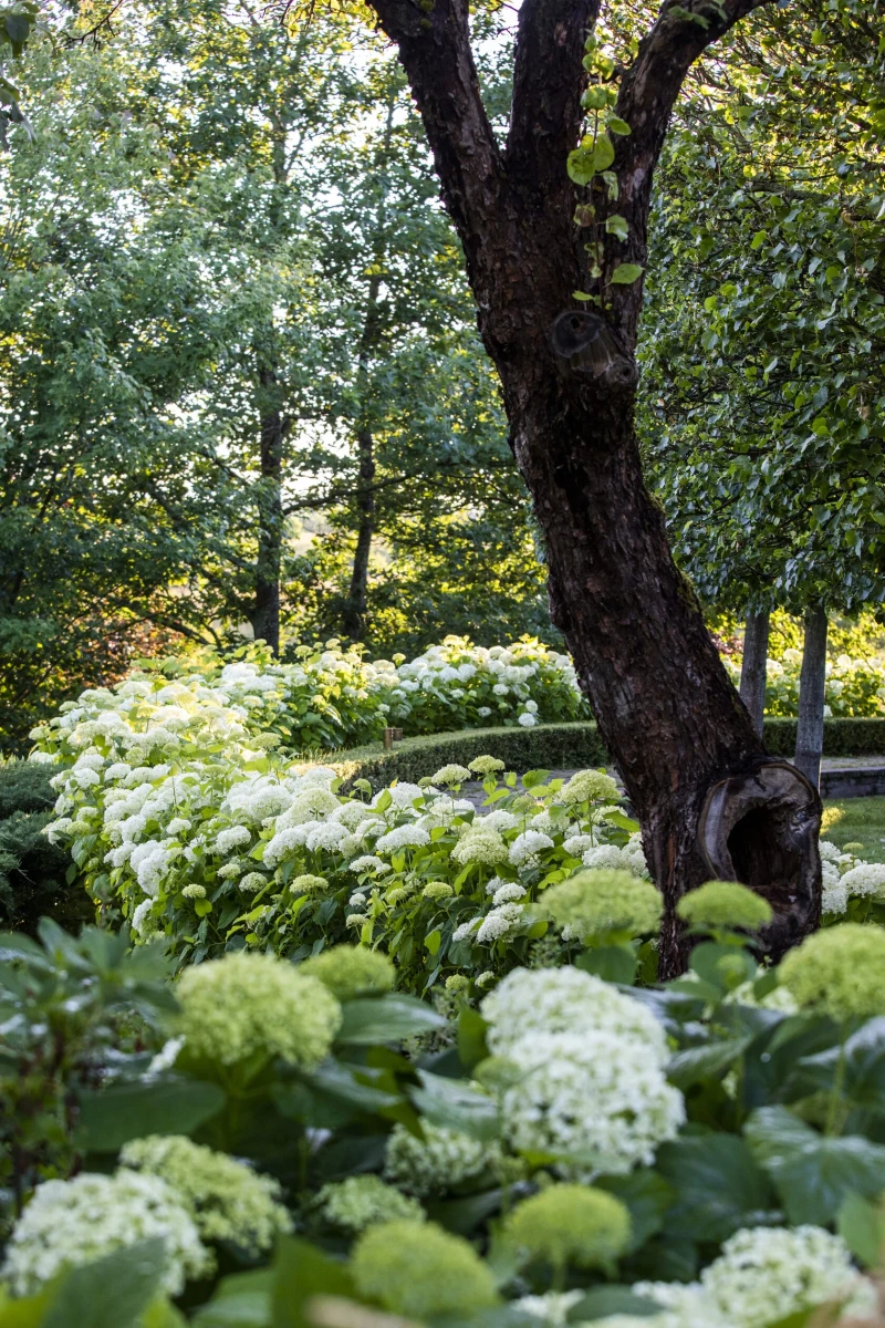 Усадьба Ореховно