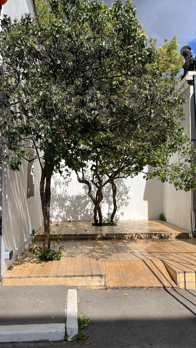 Кафе Буш в музее Москвы