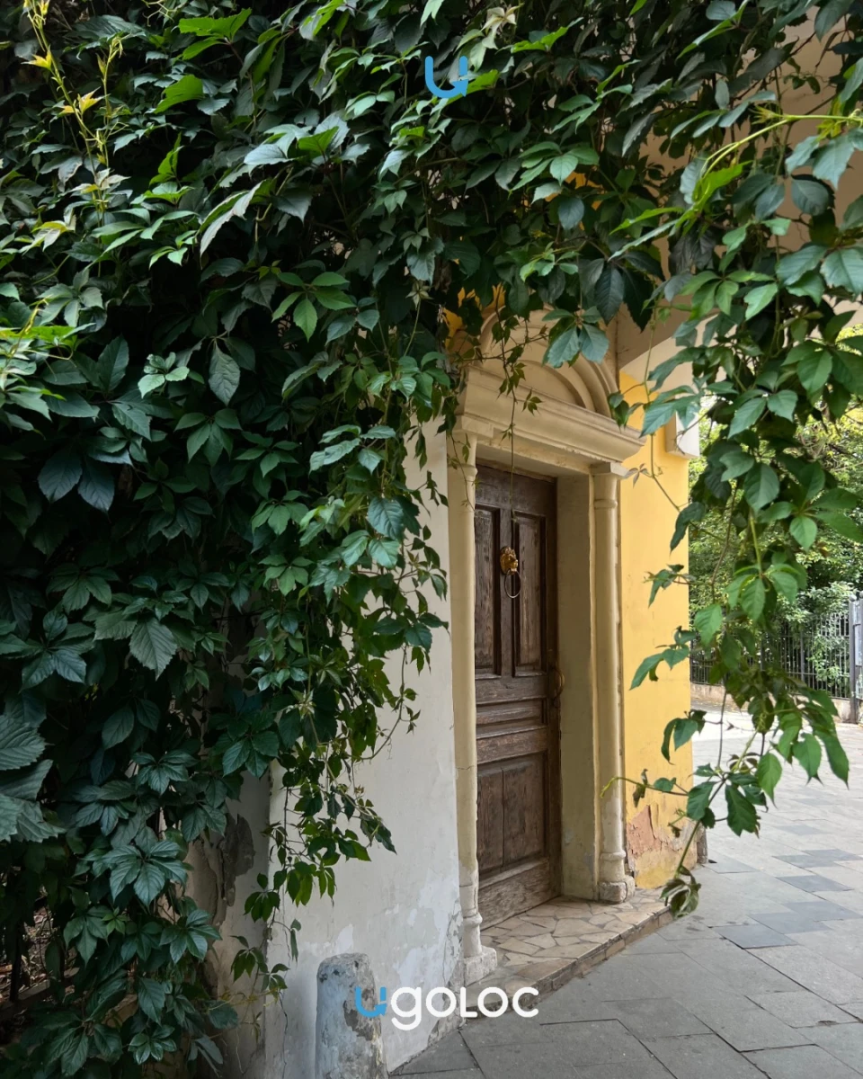 Деревянная дверь на Петровке