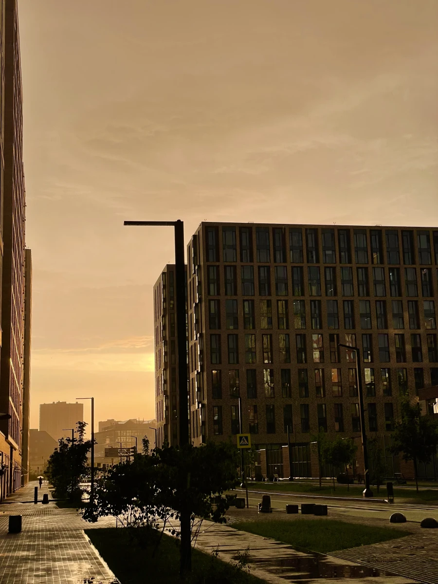 Музей Коллекция