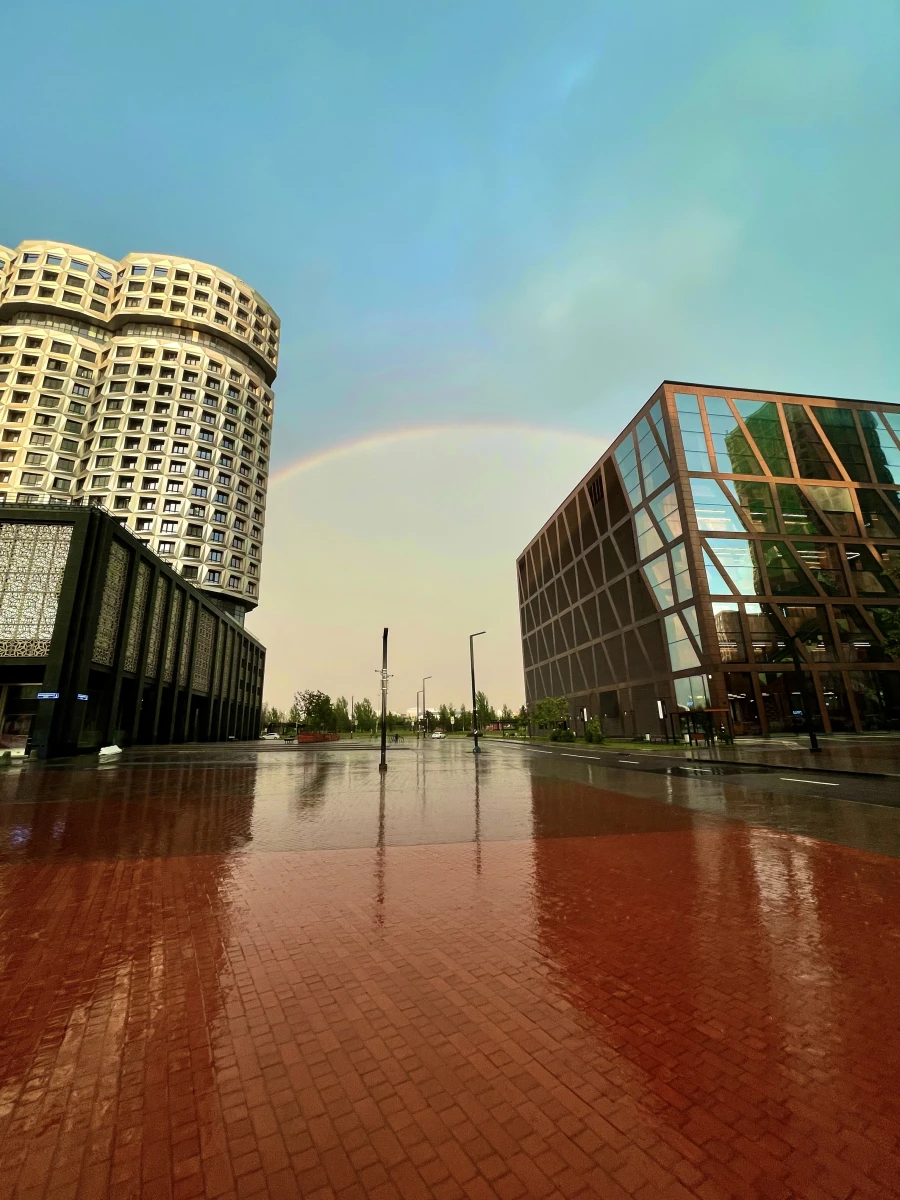 Музей Коллекция