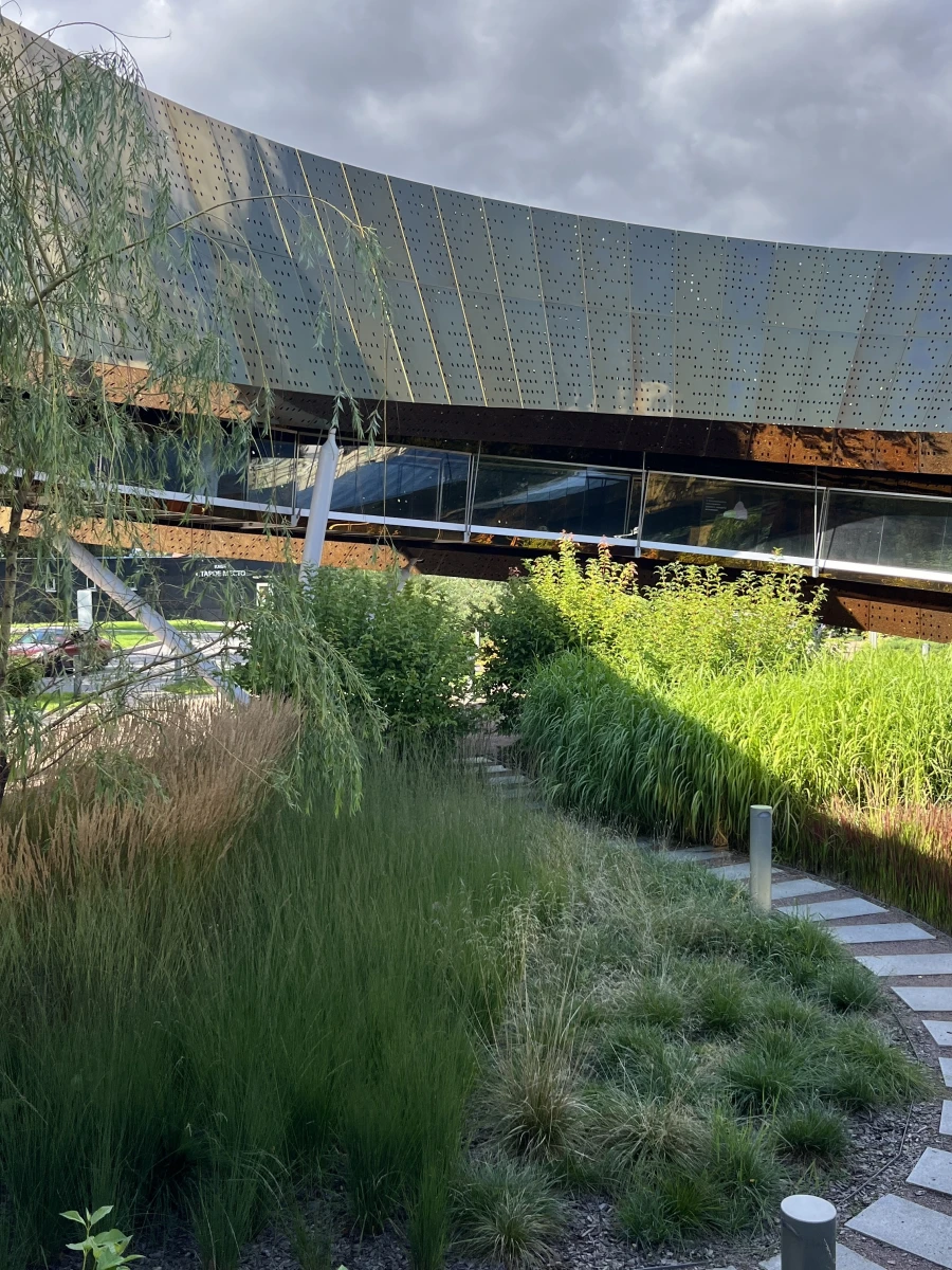 Лента Мебиуса