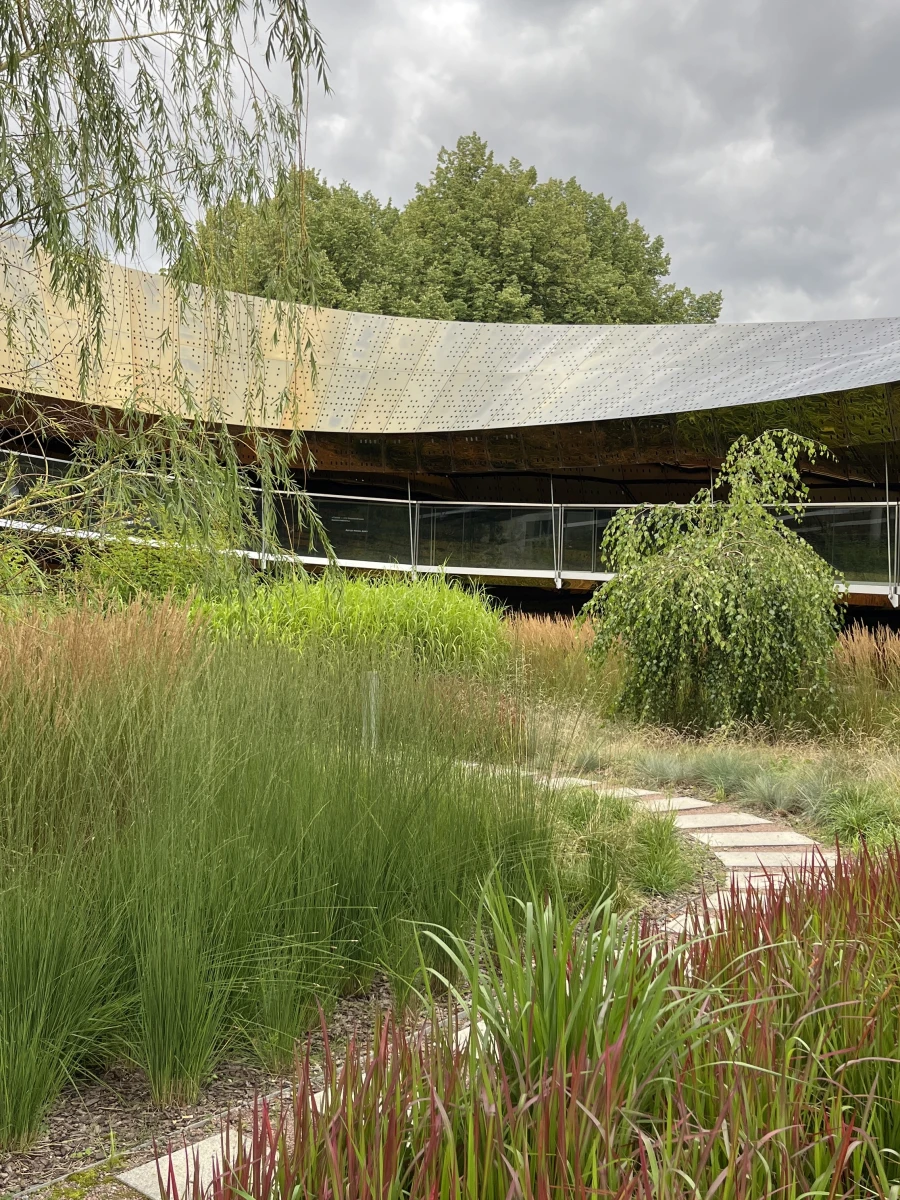 Лента Мебиуса