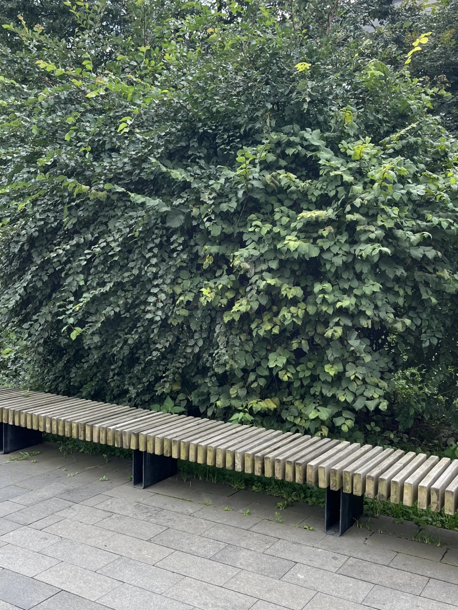 Останкинской пруд