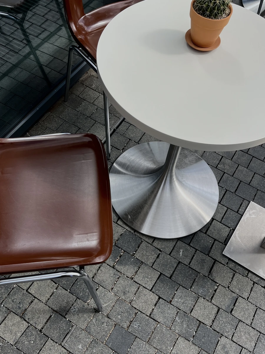 Кафе с кактусами