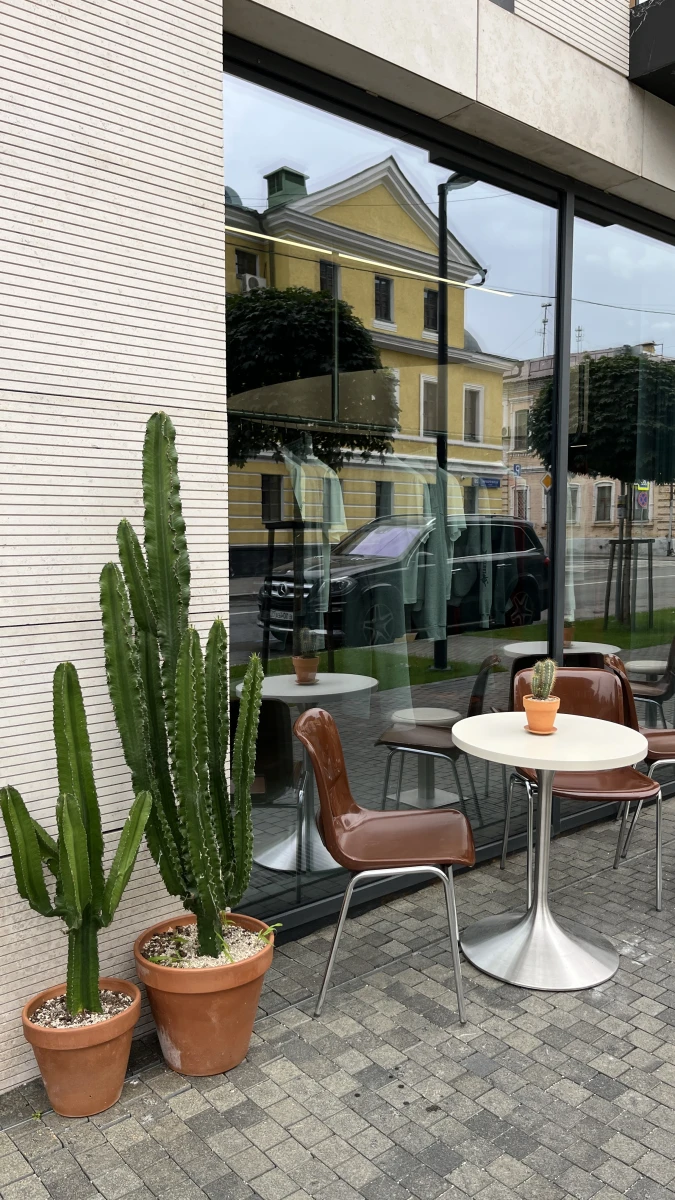 Кафе с кактусами