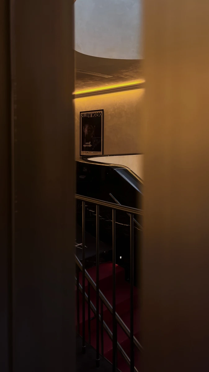 Кинотеатр художественный