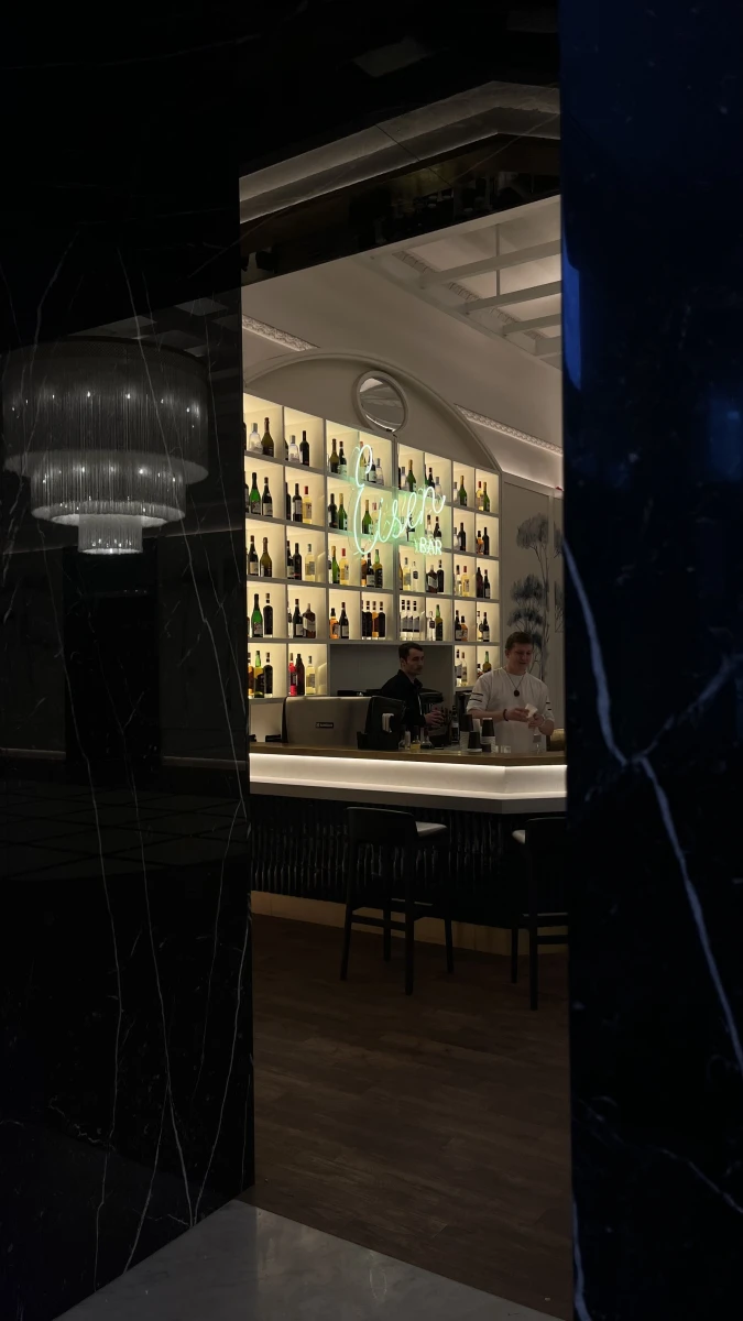 Кинотеатр художественный