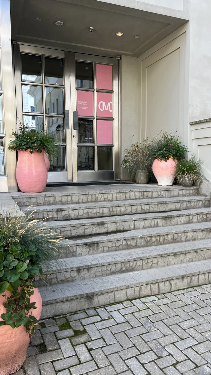 Розовые кашпо и лестница магазина Monochrome