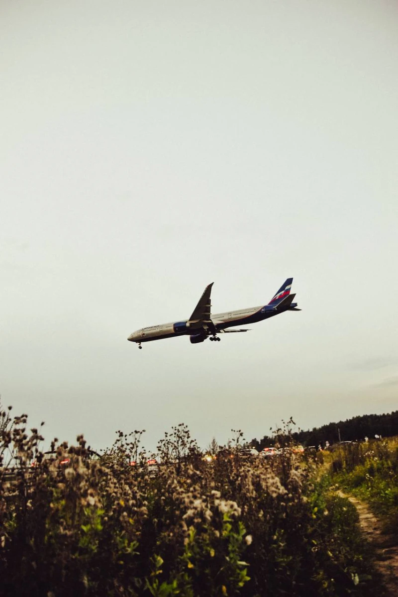 Свободный споттинг Шереметьево