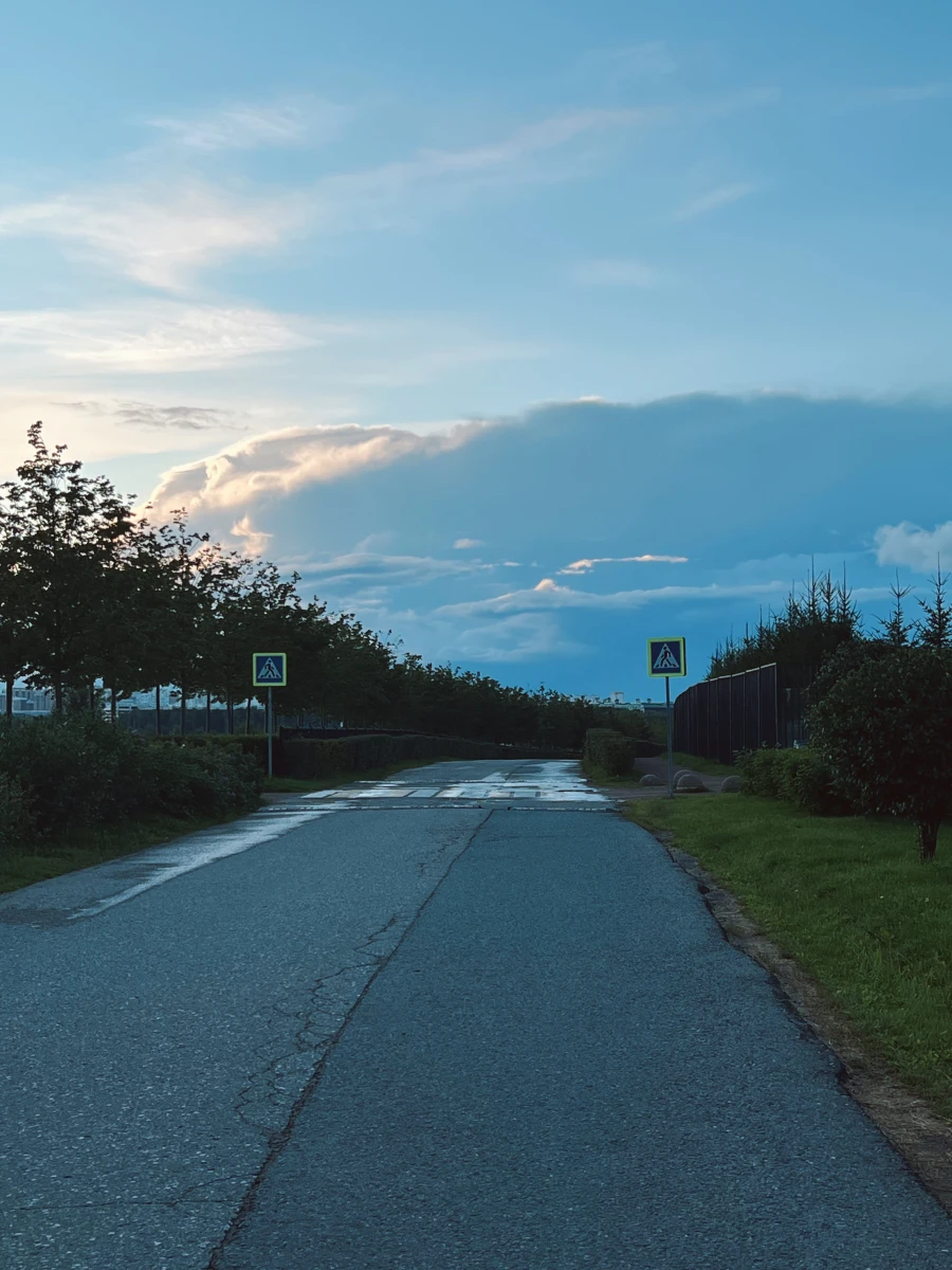 Пешеходный переход и парковка в Мещерском парке