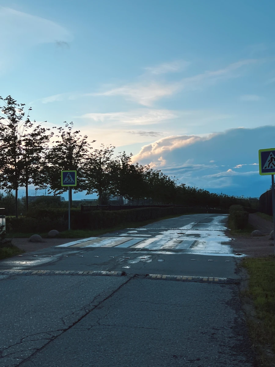 Пешеходный переход и парковка в Мещерском парке