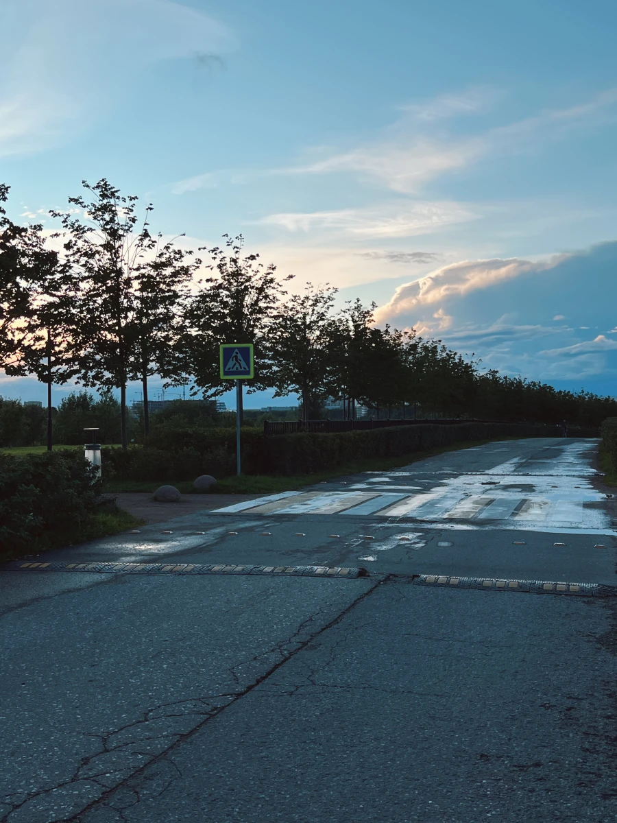 Пешеходный переход и парковка в Мещерском парке