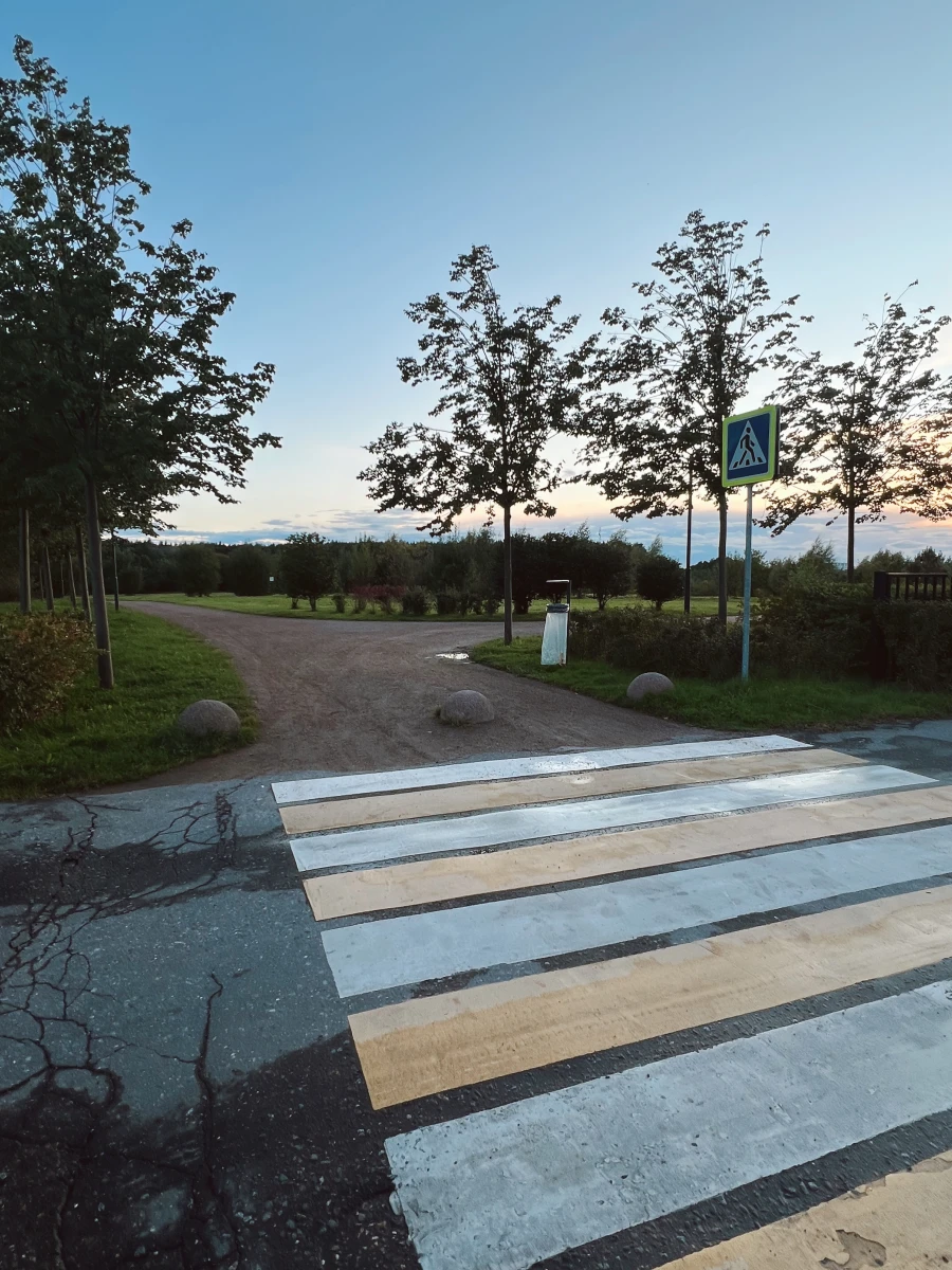 Пешеходный переход и парковка в Мещерском парке