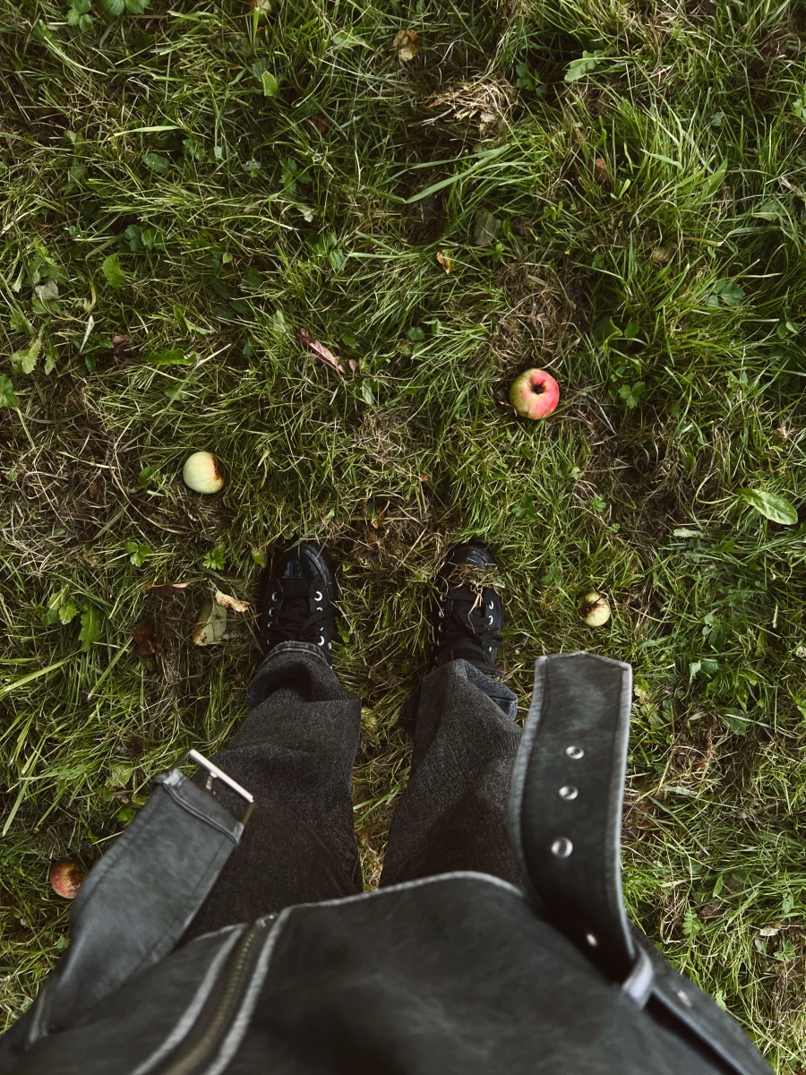 Яблоневый сад