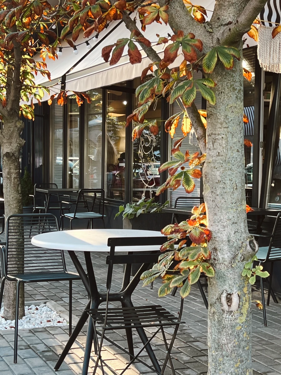 Бистро ШуШу