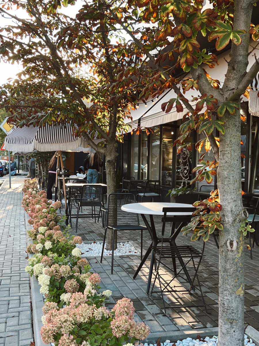 Бистро ШуШу