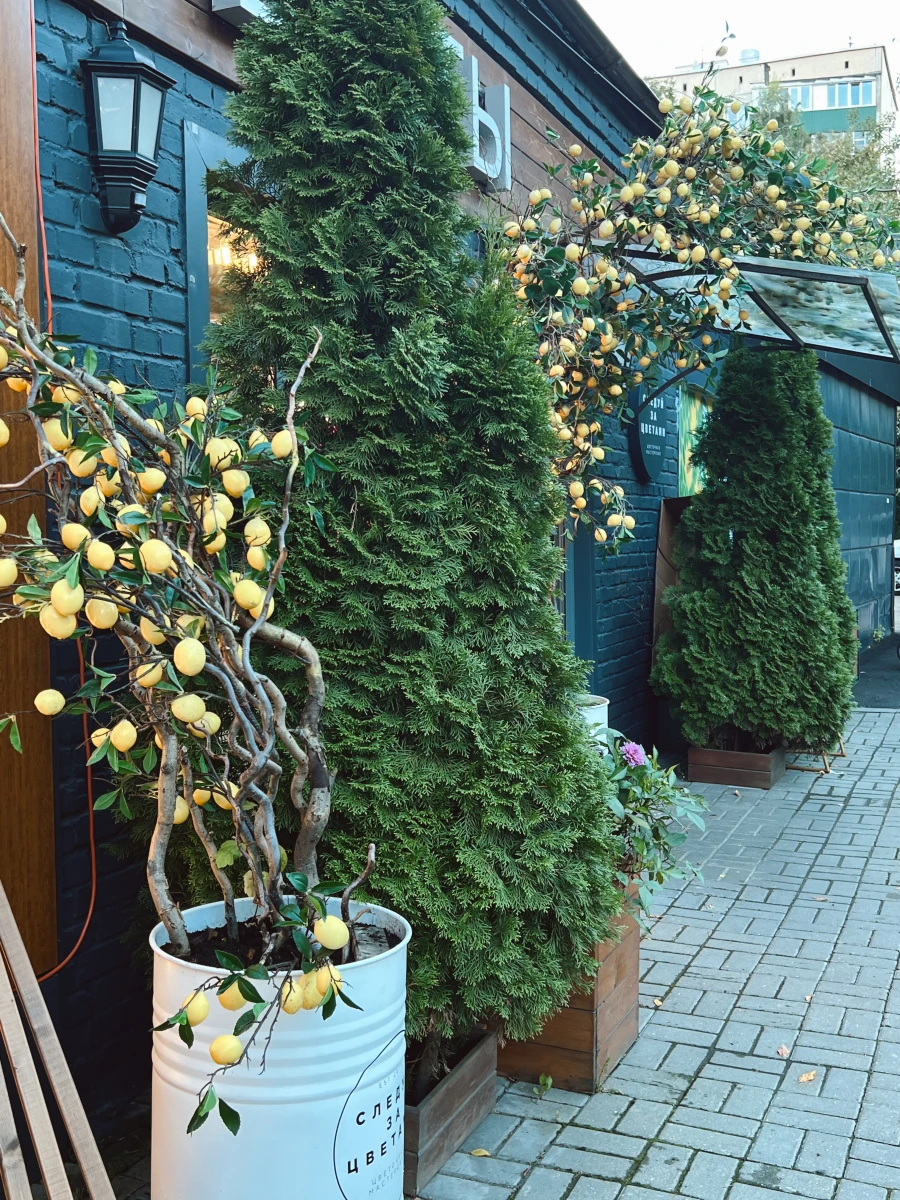 Фасад магазина "Следуй за цветами"