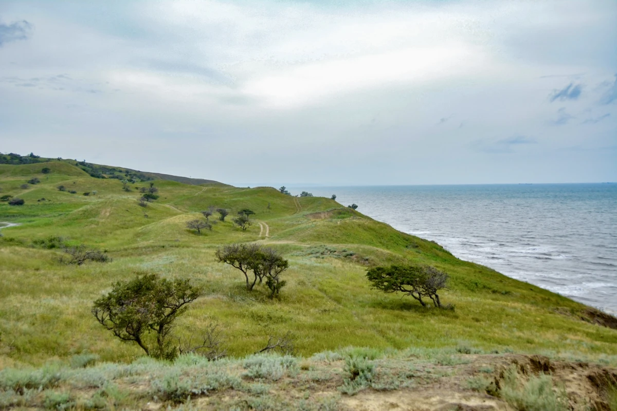 Таманская швейцария